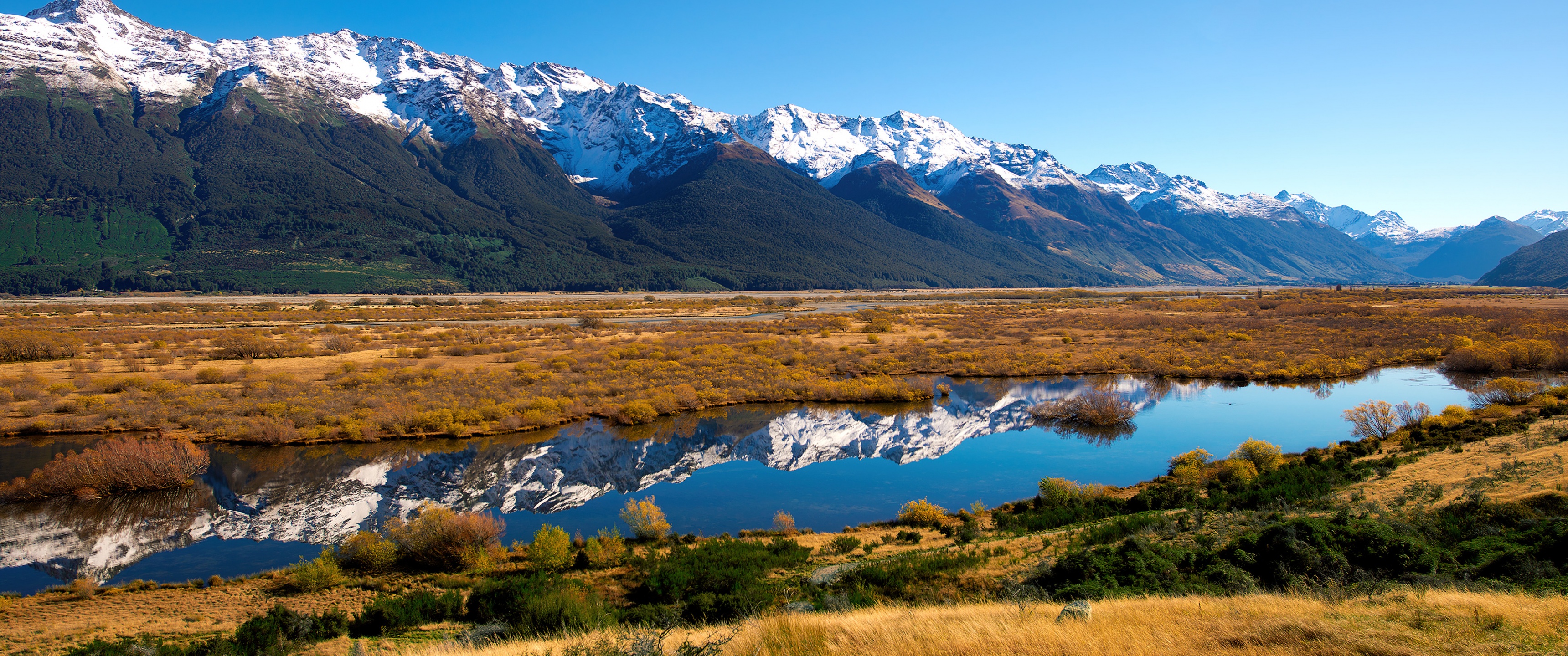New Zealand landscape