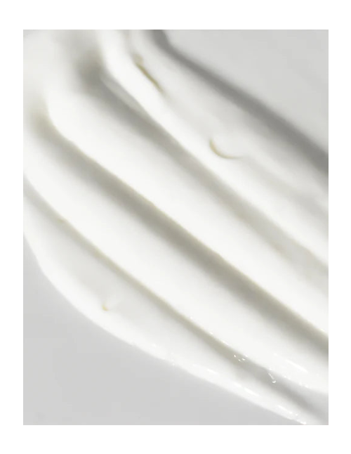 Rich Day Cream